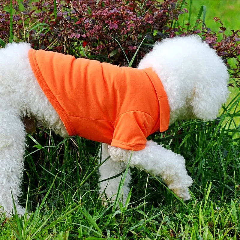 A white fluffy dog is wearing an orange polo shirt outdoors in green grass.