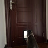 Weatherproof Pet Door Flap with 4-Way Locking Security
