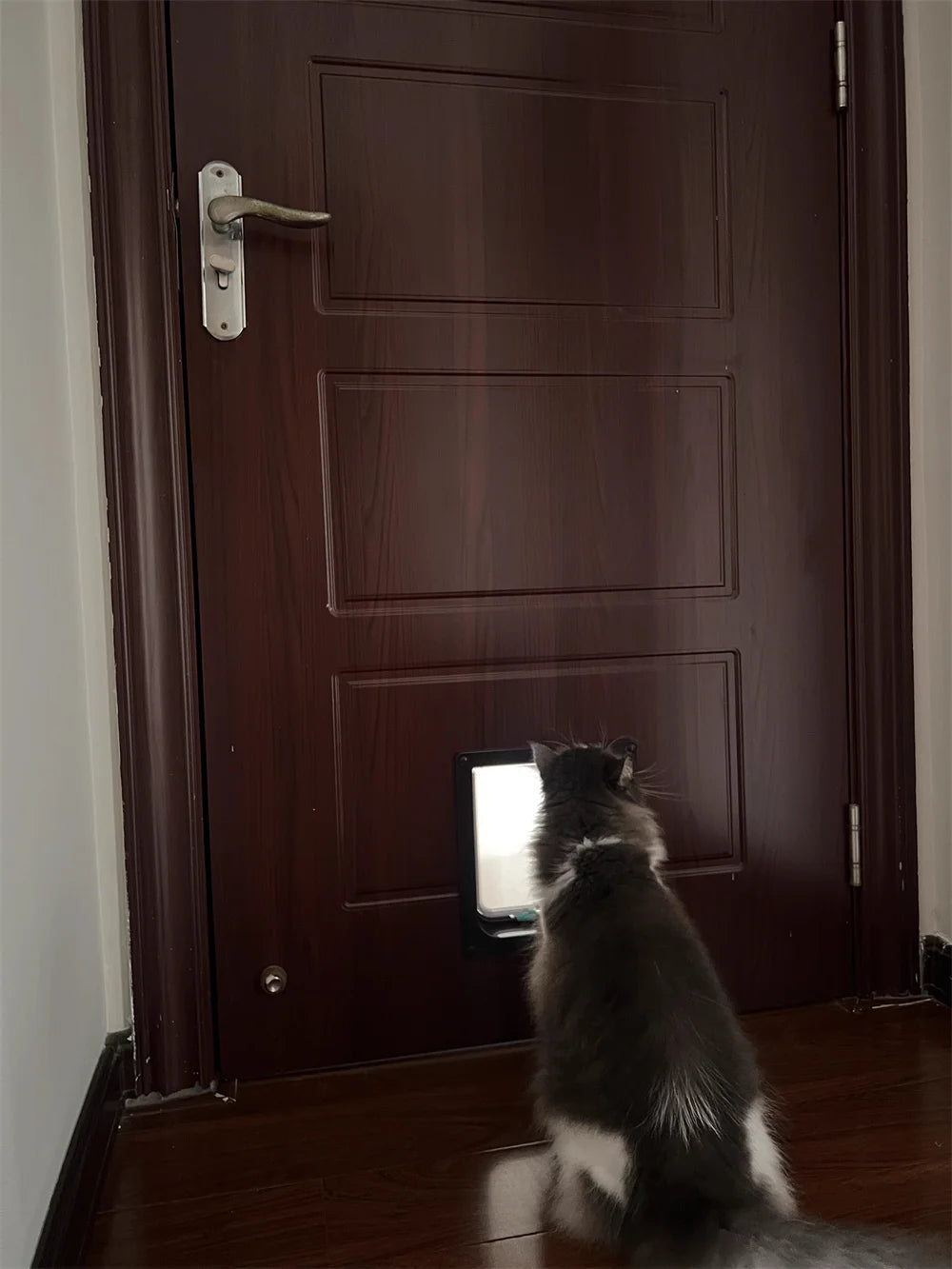 Weatherproof Pet Door Flap with 4-Way Locking Security