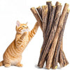 Eine orangebraune Katze interagiert mit einem Bündel aus natürlichen Holz-Kaugummistangen für Katzen.