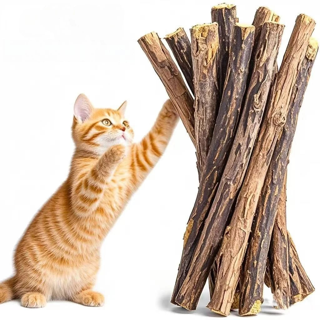 Eine orangebraune Katze interagiert mit einem Bündel aus natürlichen Holz-Kaugummistangen für Katzen.
