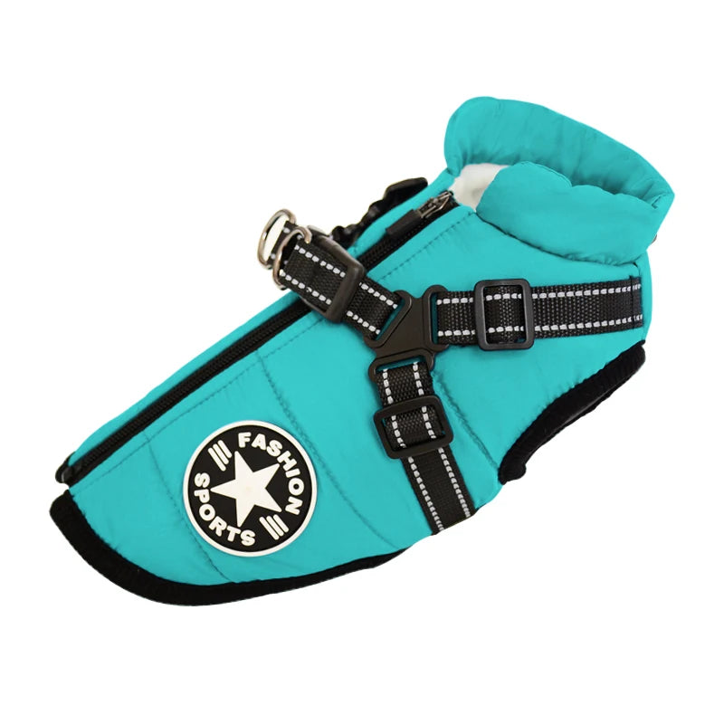 Abrigo impermeable para perro de color verde azulado con arnés negro y capucha