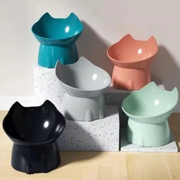 A collection of raised pet bowls in various colors including teal, coral, gray, and mint green, displayed on a white textured