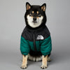 A fluffy black and white dog wearing a dark green and black insulated winter coat.
