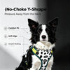 Quick-Release No-Choke Dog Harness with Dual D-Rings