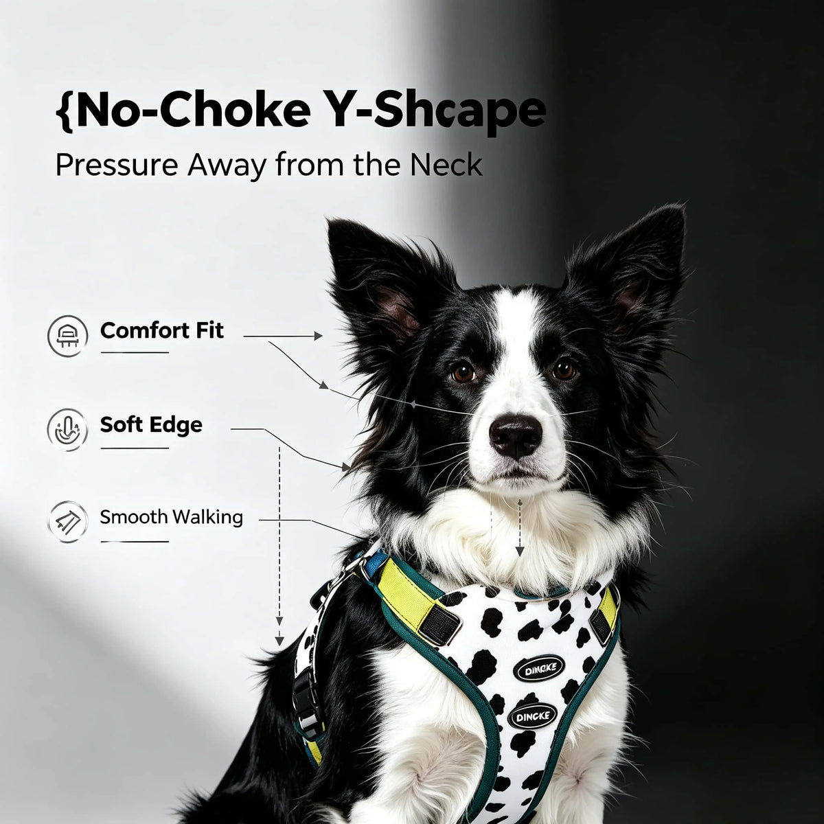 Quick-Release No-Choke Dog Harness with Dual D-Rings