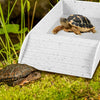 Reptile Food and Water Bowl with Anti-Slip Ramp