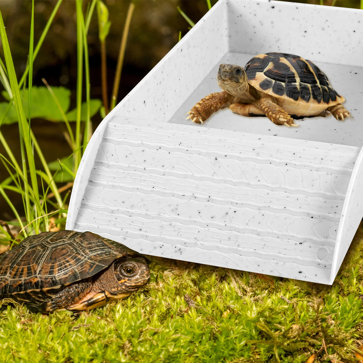 Reptile Food and Water Bowl with Anti-Slip Ramp