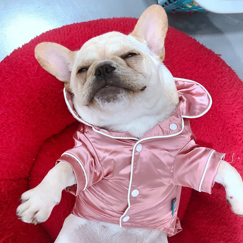 A light-colored dog is wearing a pink silk pajama top while resting on a red surface.