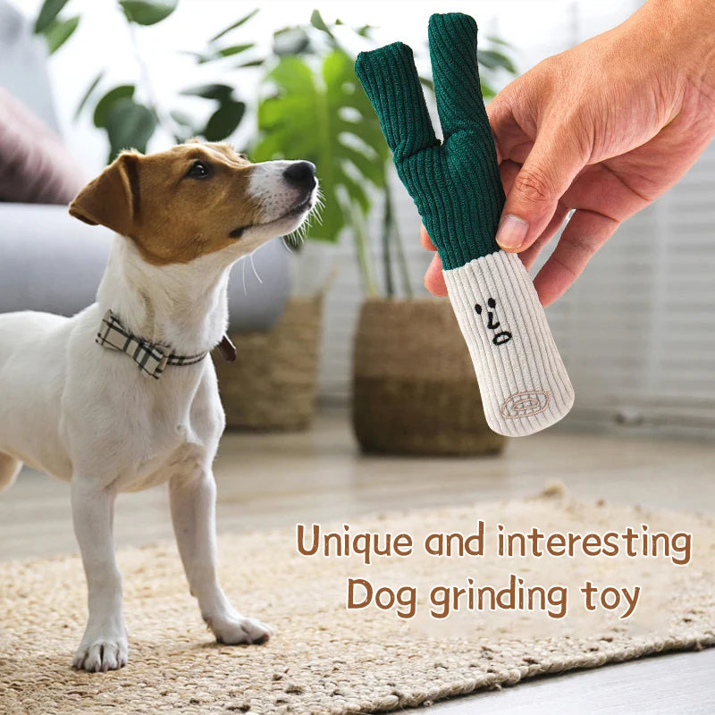 Une main tient un jouet à mâcher vert et beige, regardé par un chien.