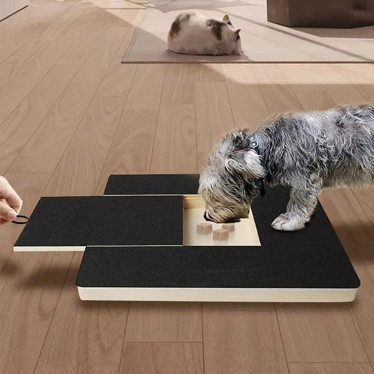 Wooden Dog Nail Scratching Board with Built-in Treat Box