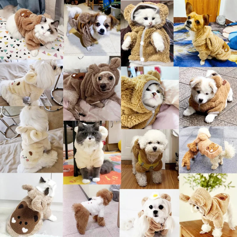 Collection de chiens portant des sweats à capuche en polaire douillet dans diverses couleurs et styles.