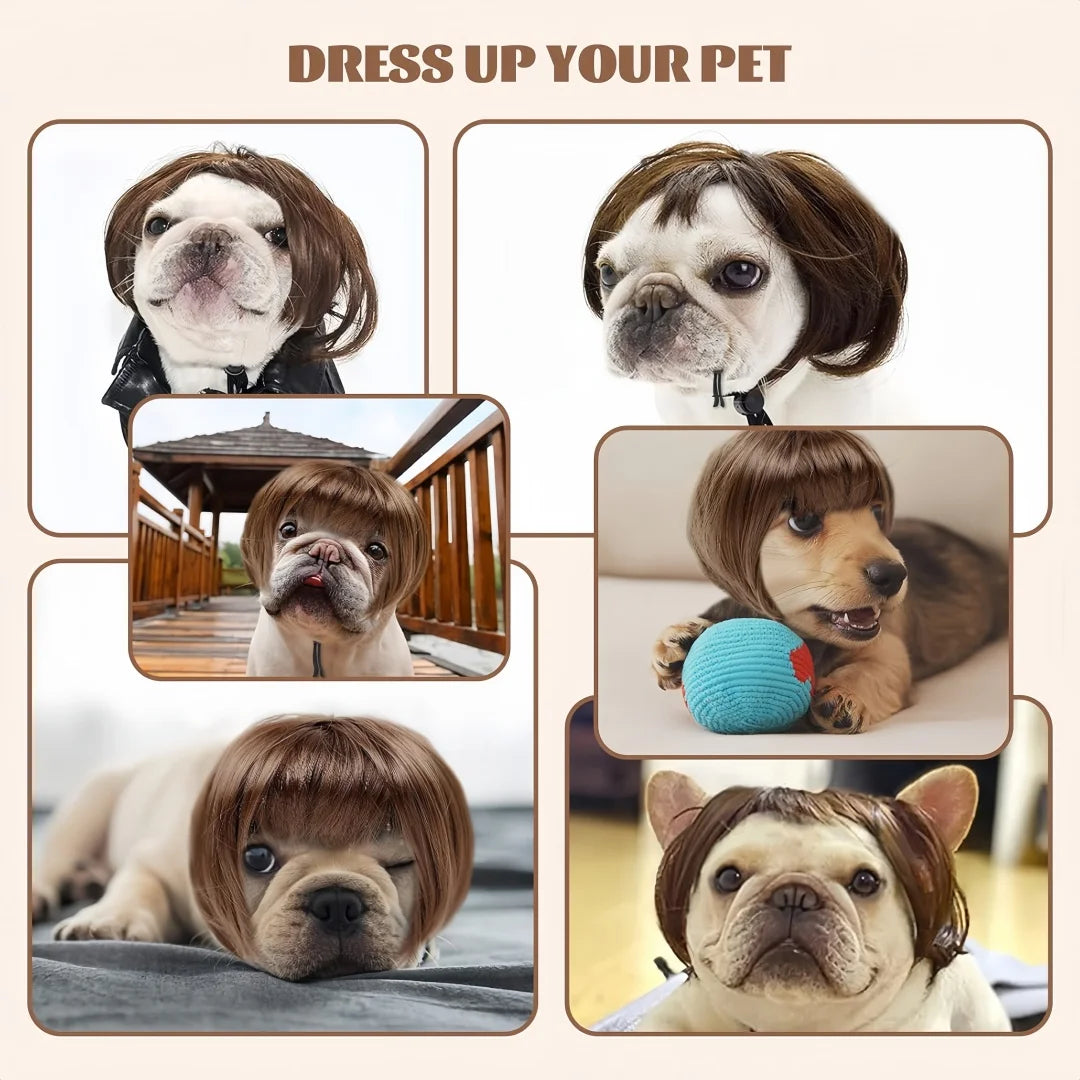 Pet Bob Wig – Funny Cat & Dog Costume Accessory