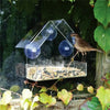 Window-Mount Bird Feeder with Suction Cups
