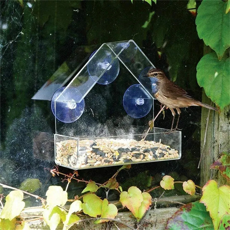 Window-Mount Bird Feeder with Suction Cups