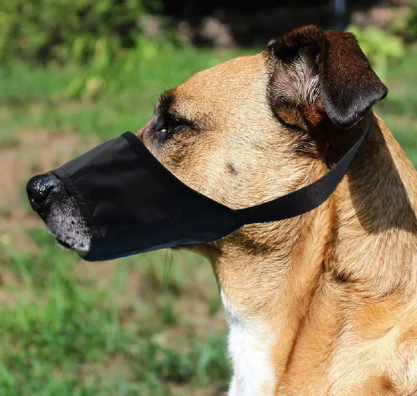 Soft Nylon Dog Muzzle with Safety Buckle