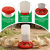 Automatic Poultry Feeder and Waterer Set