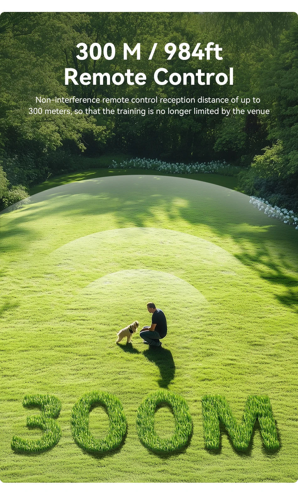 A dog is training on a grassy field while a remote control is used for guidance.