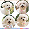 Handmade Flower-Shaped Adjustable Pet Bow Tie