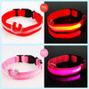 USB Rechargeable Luminous Collar for Dogs and Cats