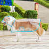 Clear Waterproof Dog Raincoat with Adjustable Hood