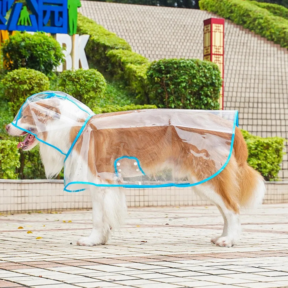 Clear Waterproof Dog Raincoat with Adjustable Hood