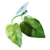 Betta Fish Rest Leaf Hammock with Suction Cup