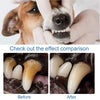 Comparison of pet teeth before and after natural dental care foam treatment