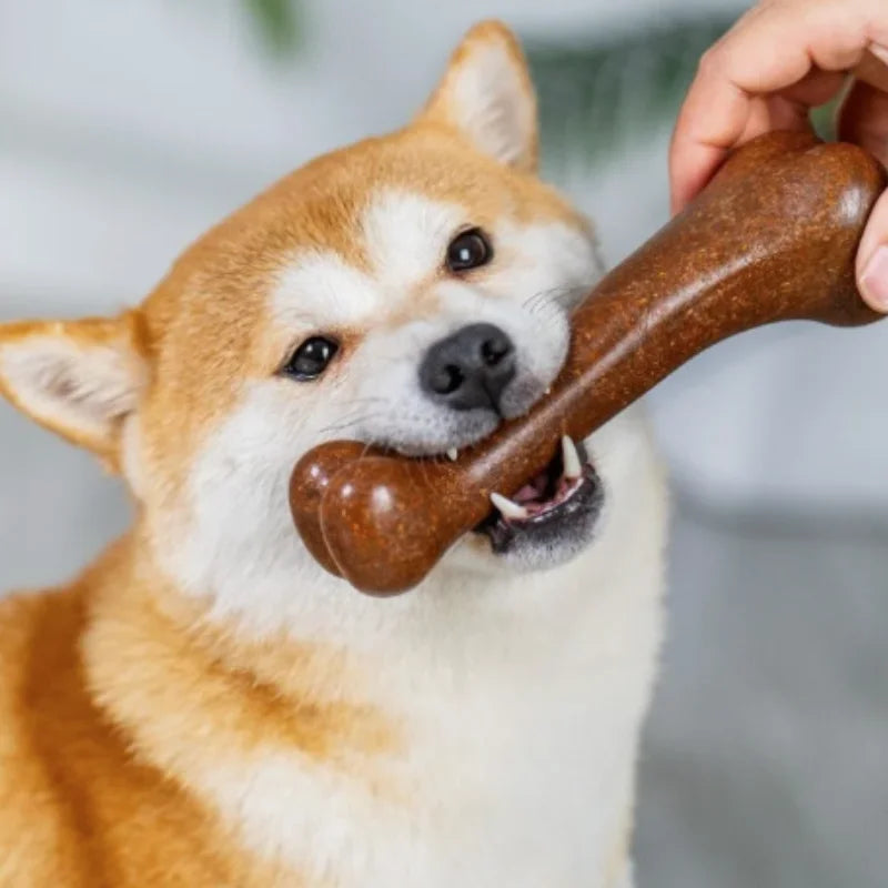 Durable Wooden Dog Chew Bone Toy for Aggressive Chewers