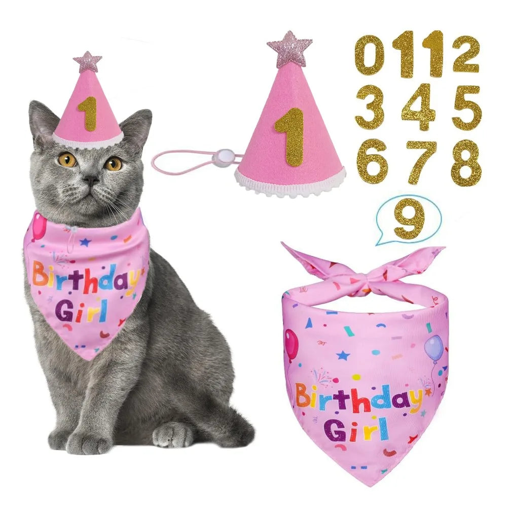 A gray cat wearing a pink birthday hat and bow tie set with gold sequins.