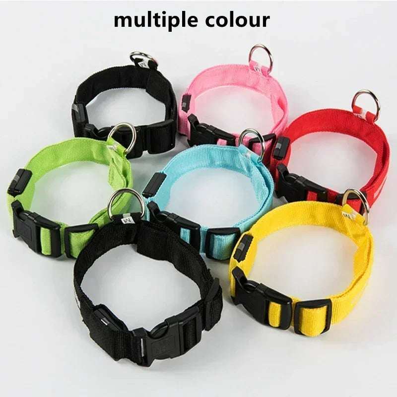 USB-aufladbarer LED-Hundehalsband für Nachtsicherheit