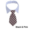 A white and pink striped pet bow tie collar for dogs and cats