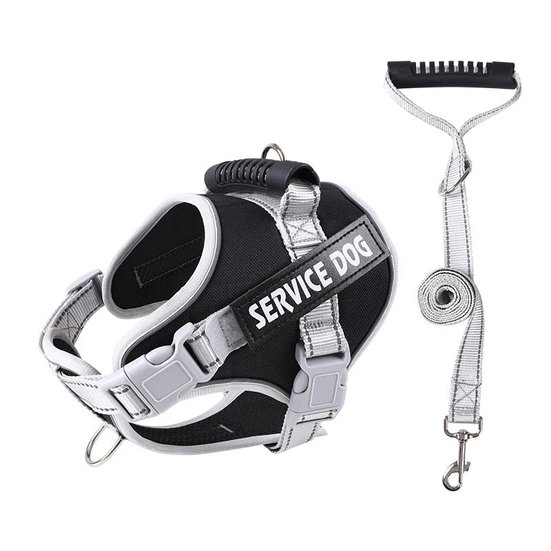 Black and silver reflective dog harness with a custom name tag and leash