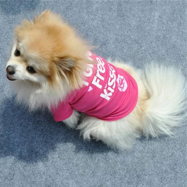 A fluffy apricot and white dog wearing a pink t-shirt with a white print on its chest.
