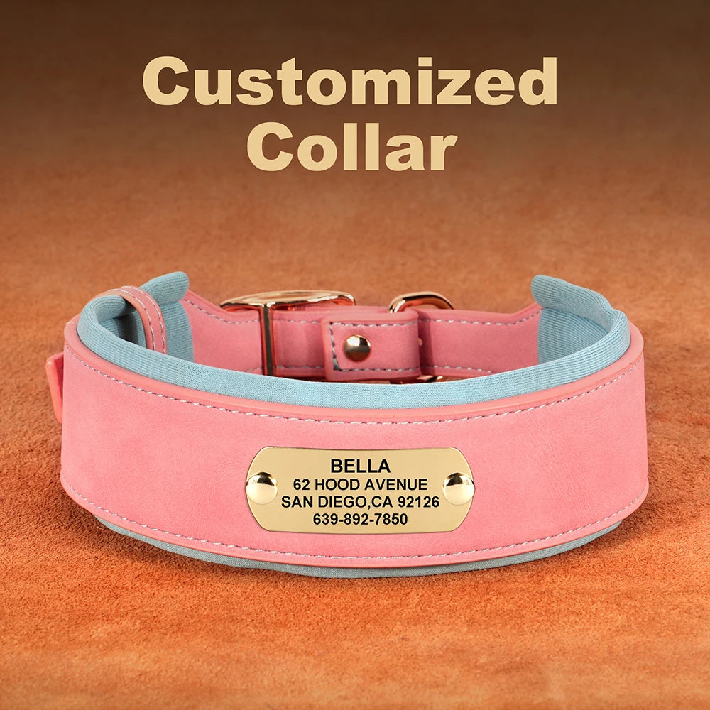 Pink PU leather dog collar with a gold name tag and custom information printed on the tag.