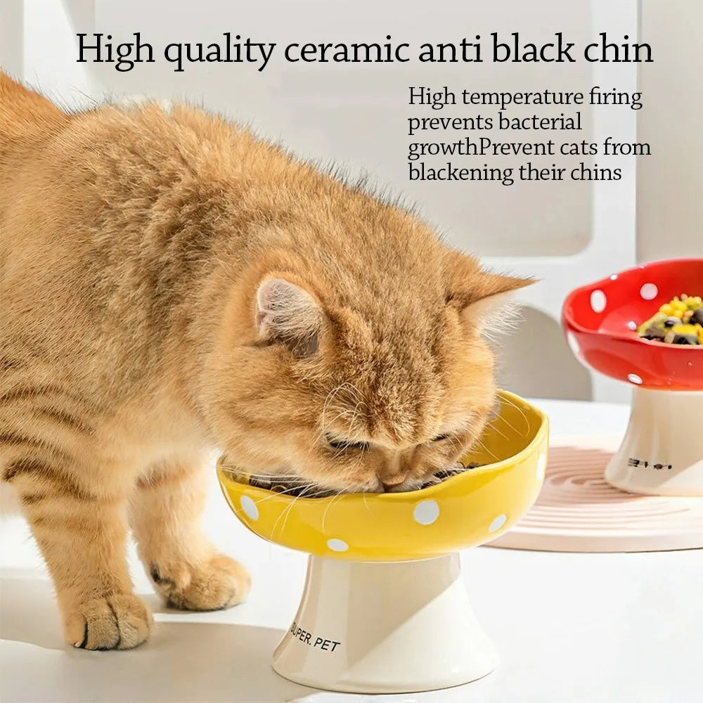 A tabby kitten is eating from a yellow ceramic pet bowl designed to prevent blackening of the chin.
