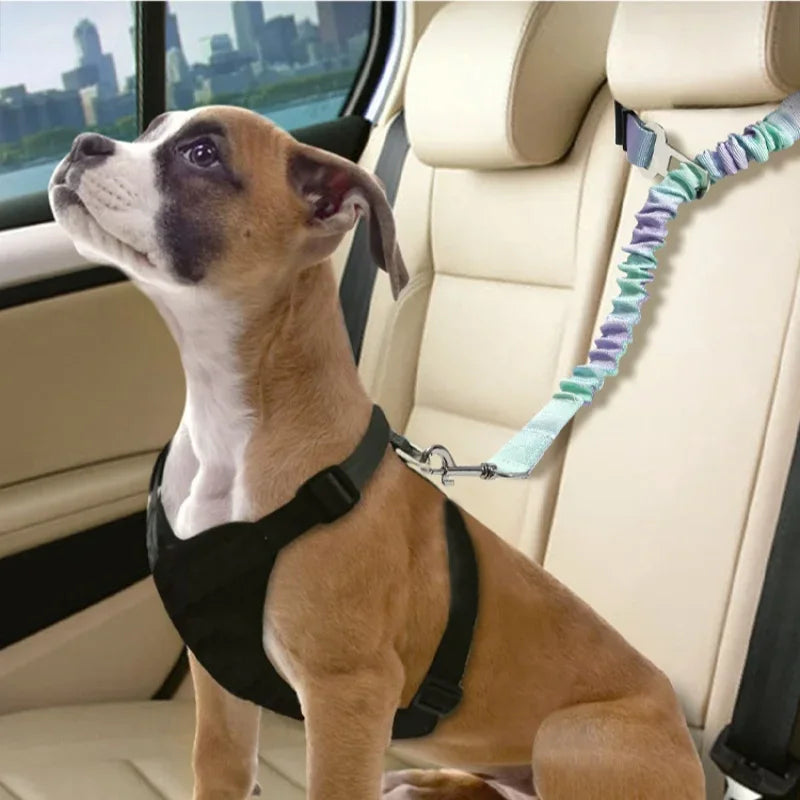 A light brown dog is wearing an adjustable traction rope safety harness inside a car.
