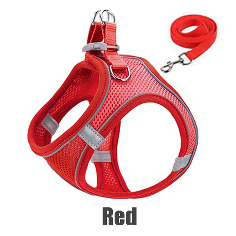Red reflective no-pull dog harness and matching leash