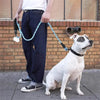 Reflective Dog Leash with Padded Handle - Heavy Duty Double Rope