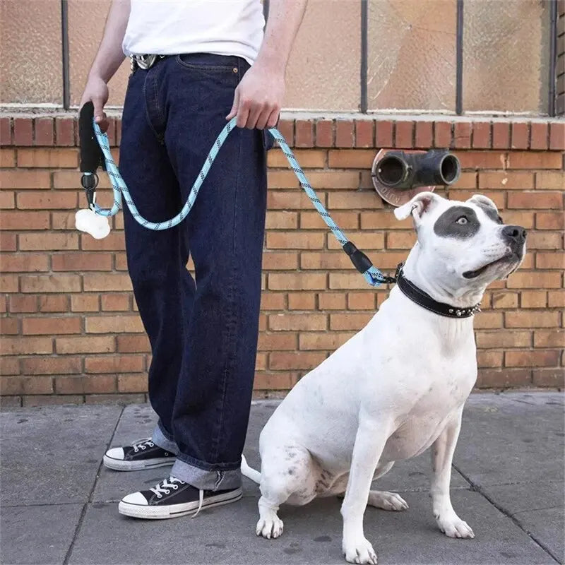 Reflective Dog Leash with Padded Handle - Heavy Duty Double Rope