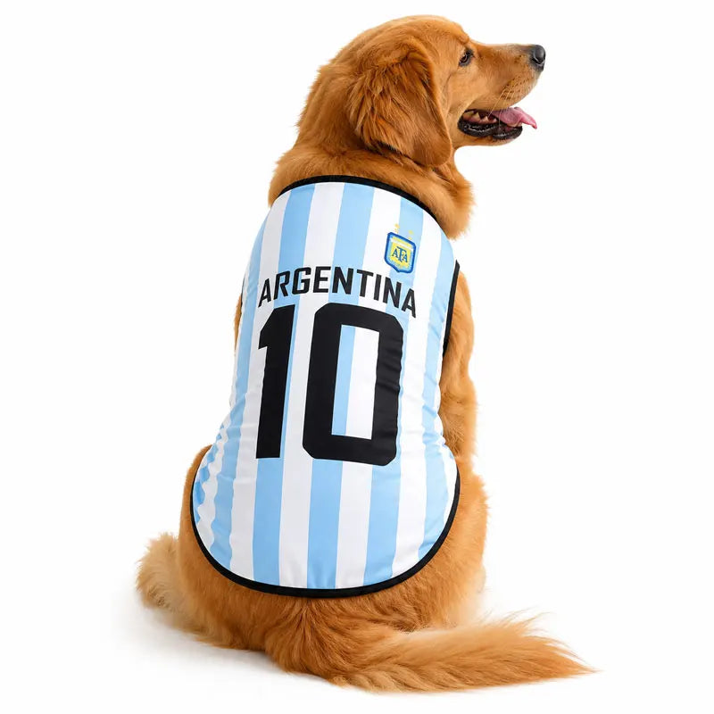 Un golden retriever portant un gilet maillot de l'Argentine rayé bleu et blanc avec le numéro 10