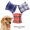Three plaid diapers for male dogs shown next to a golden retriever.