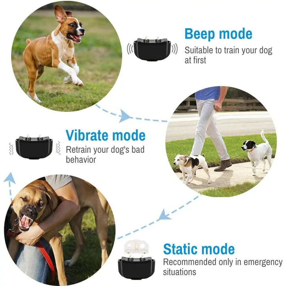 Rechargeable Waterproof Dog Training Collar with Remote