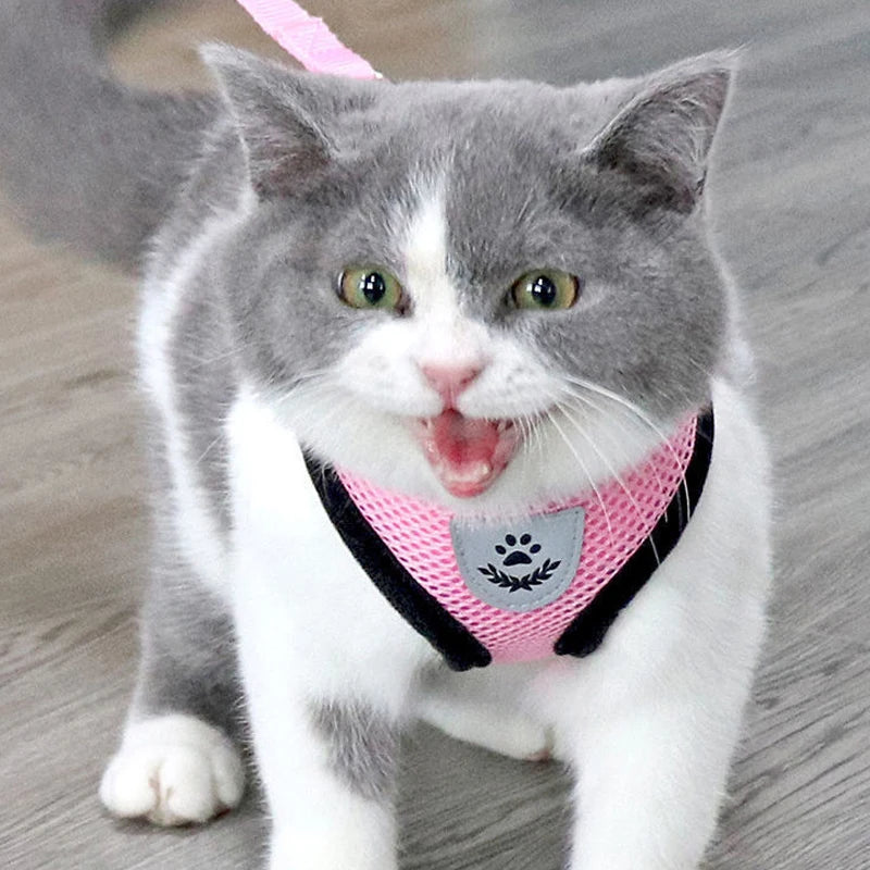 Adjustable Breathable Mesh Dog & Cat Harness with Leash