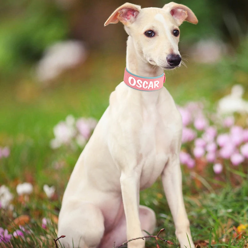 Wide Personalized PU Leather Dog Collar With Custom Name Tag