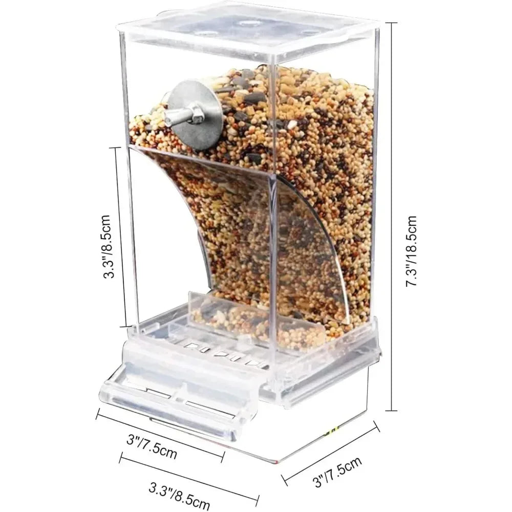Stainless Steel Automatic Bird Feeder and Drinker for Parakeets