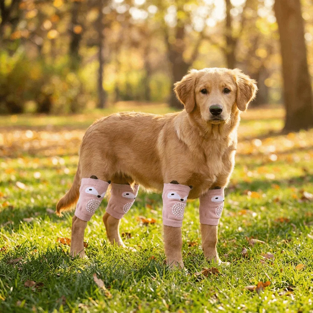 Dog Knee Pads with Elastic Leg Covers for Joint Protection