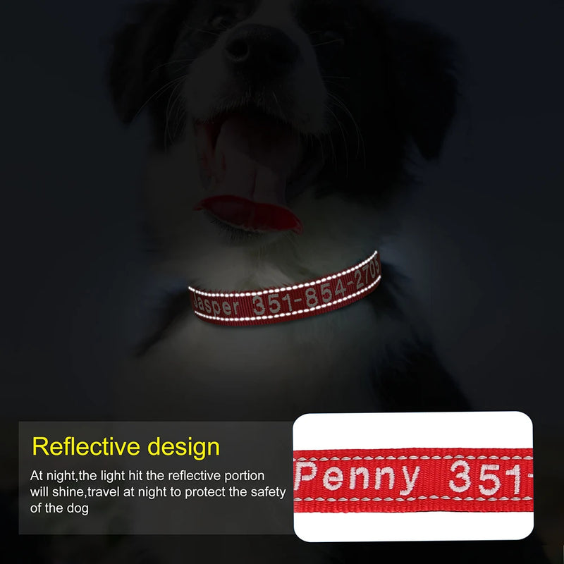 Personalisierte bestickte Nylon-Hundehalsband