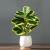 Artificial Heart-Leaf Ficus Plant with Green Leaves