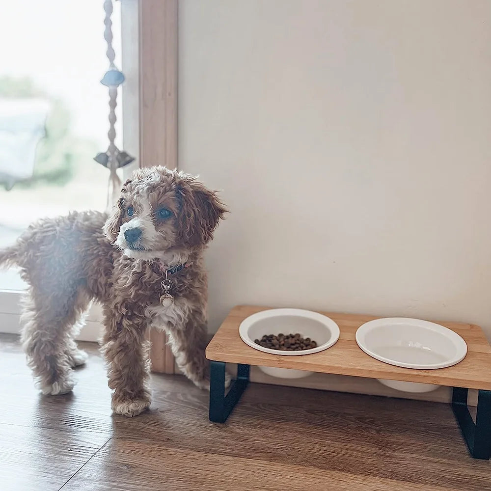 A fluffy dog stands next to a wooden feeding stand with two white bowls on a light-colored wall.